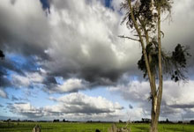 谁是足球怪侠？他有着怎样的传奇故事？