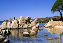 葡萄牙对阵加纳，这场世界杯对决有哪些看点和关键因素？